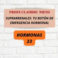 PROFE CLAUDIO NIETO artwork