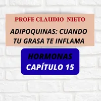 PROFE CLAUDIO NIETO artwork