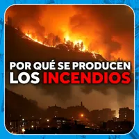 Economía directa artwork