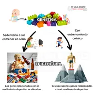 Rendimiento Evolutivo artwork