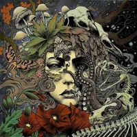 Noviembre Nocturno artwork