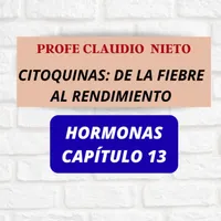 PROFE CLAUDIO NIETO artwork