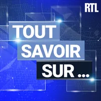 Le grand jury artwork
