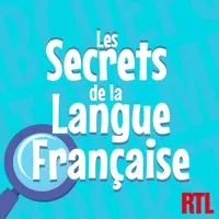 Les secrets de la langue française : orthographe, grammaire et conjugaison artwork