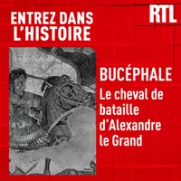 Entrez dans l'Histoire artwork