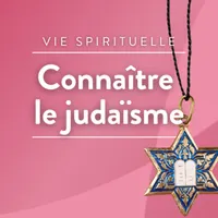 Connaître le judaïsme artwork