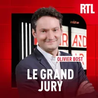 Le grand jury artwork