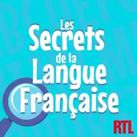 Les secrets de la langue française : orthographe, grammaire et conjugaison artwork