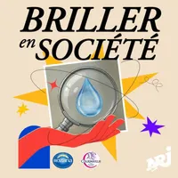 Briller en société artwork