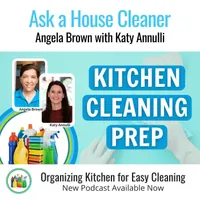 Ask a House Cleaner artwork