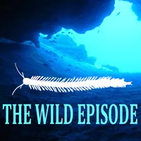 The Wild Episode artwork