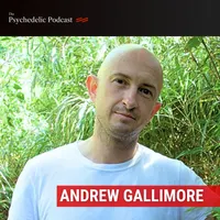 The Psychedelic Podcast artwork