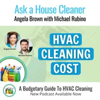 Ask a House Cleaner artwork