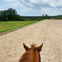 Stall and Stable: Ideas for Happy Horsekeeping artwork