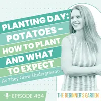 The Beginner's Garden with Jill McSheehy artwork