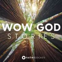 Wow God Stories artwork