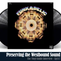 The Vinyl Guide - Artist Interviews for Record Collectors and Music Nerds artwork