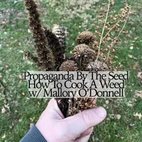 Propaganda By The Seed artwork