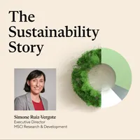 The Sustainability Story artwork