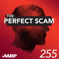 The Perfect Scam artwork