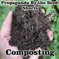 Propaganda By The Seed artwork