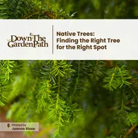 Down The Garden Path Podcast artwork