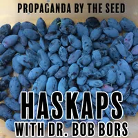 Propaganda By The Seed artwork