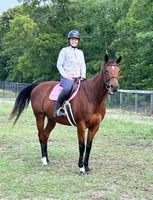 Stall and Stable: Ideas for Happy Horsekeeping artwork