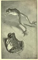 1001 Classic Short Stories & Tales artwork