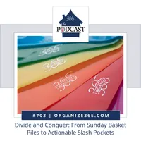 Organize 365 Podcast artwork