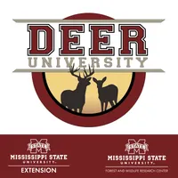 Deer University artwork