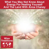 Wise Traditions artwork