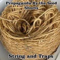 Propaganda By The Seed artwork