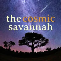 The 365 Days of Astronomy artwork