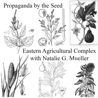 Propaganda By The Seed artwork