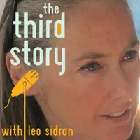 The Third Story with Leo Sidran artwork