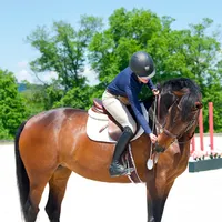 Stall and Stable: Ideas for Happy Horsekeeping artwork