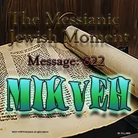 The Messianic Jewish Moment artwork