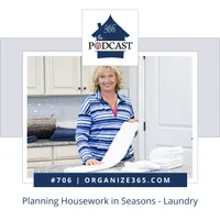Organize 365 Podcast artwork