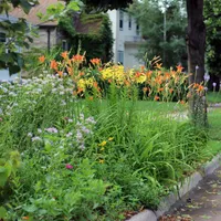 Backyard Ecology™ artwork