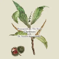 Propaganda By The Seed artwork