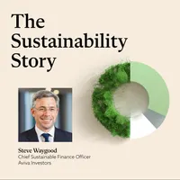 The Sustainability Story artwork