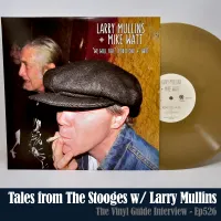 The Vinyl Guide - Artist Interviews for Record Collectors and Music Nerds artwork