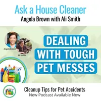Ask a House Cleaner artwork