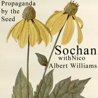 Propaganda By The Seed artwork