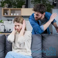 The Overwhelmed Brain artwork