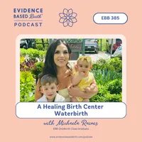 Evidence Based Birth® artwork