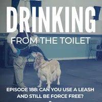 Drinking From the Toilet: Real dogs, Real training artwork