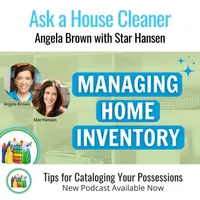 Ask a House Cleaner artwork