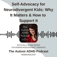 THE AUTISM ADHD PODCAST artwork